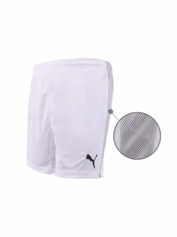 Puma W.inner Slip V.5.08 700473 04