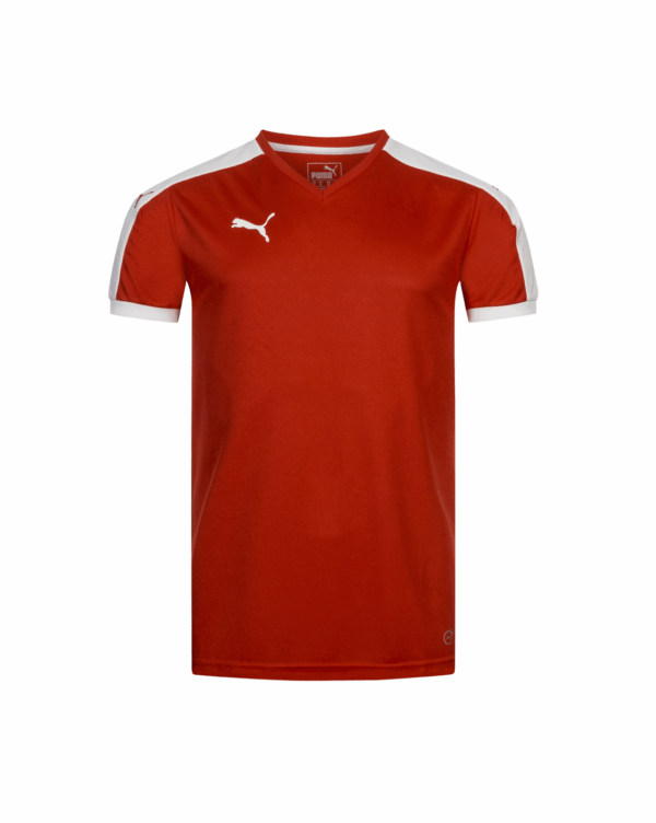 Shirt Puma Pitch 702070 01