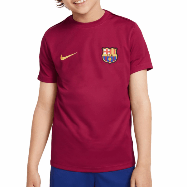 Camiseta Nike Barcelona niño Dri-Fit Academy Pro  FQ2752-622