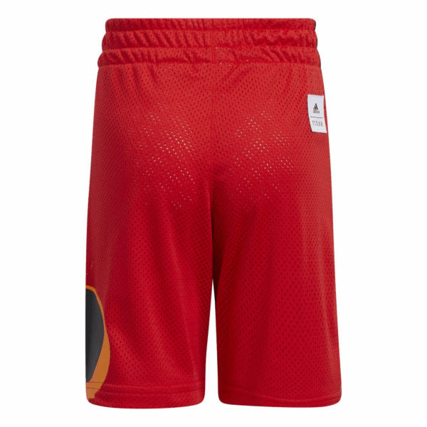 Pantalones cortos para Niños ADIDAS Originals Metroville DISNEY PIXAR LOS INCREIBLES  HI0997 - Imagen 3