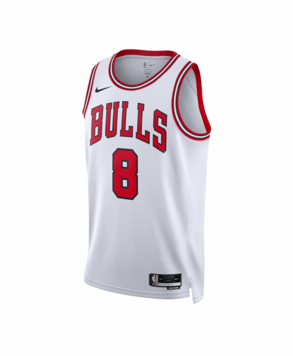 Camiseta Nike Dri-FIT NBA Chicago Bulls Association Edition 2022/23 Swingman DN2072 100
